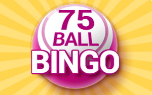 75 Ball Bingo Cover