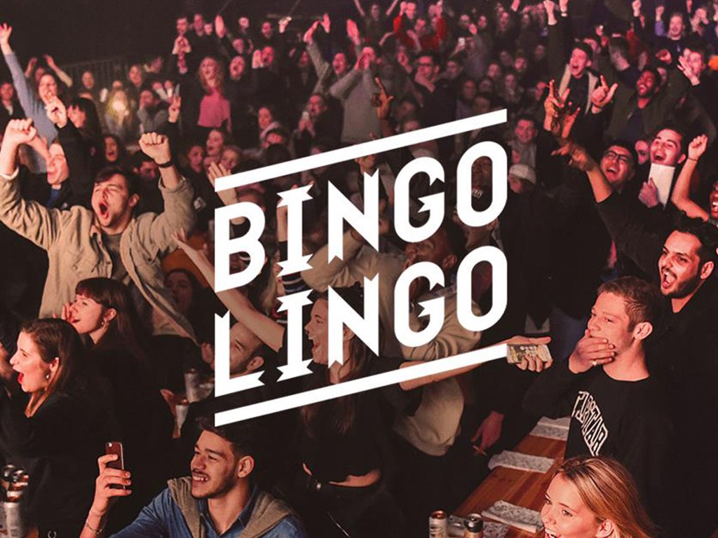 Bingo Lingo Overview