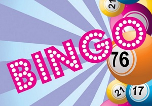 Bingo Cover