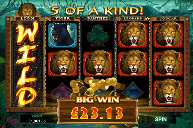 Exotic Cats Slot Online