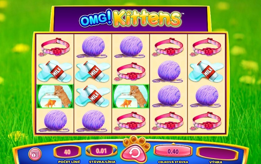 OMG Kittens Slots Game