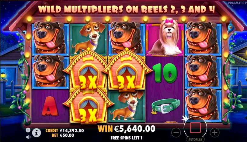 The Dog House Megaways Slots Reel