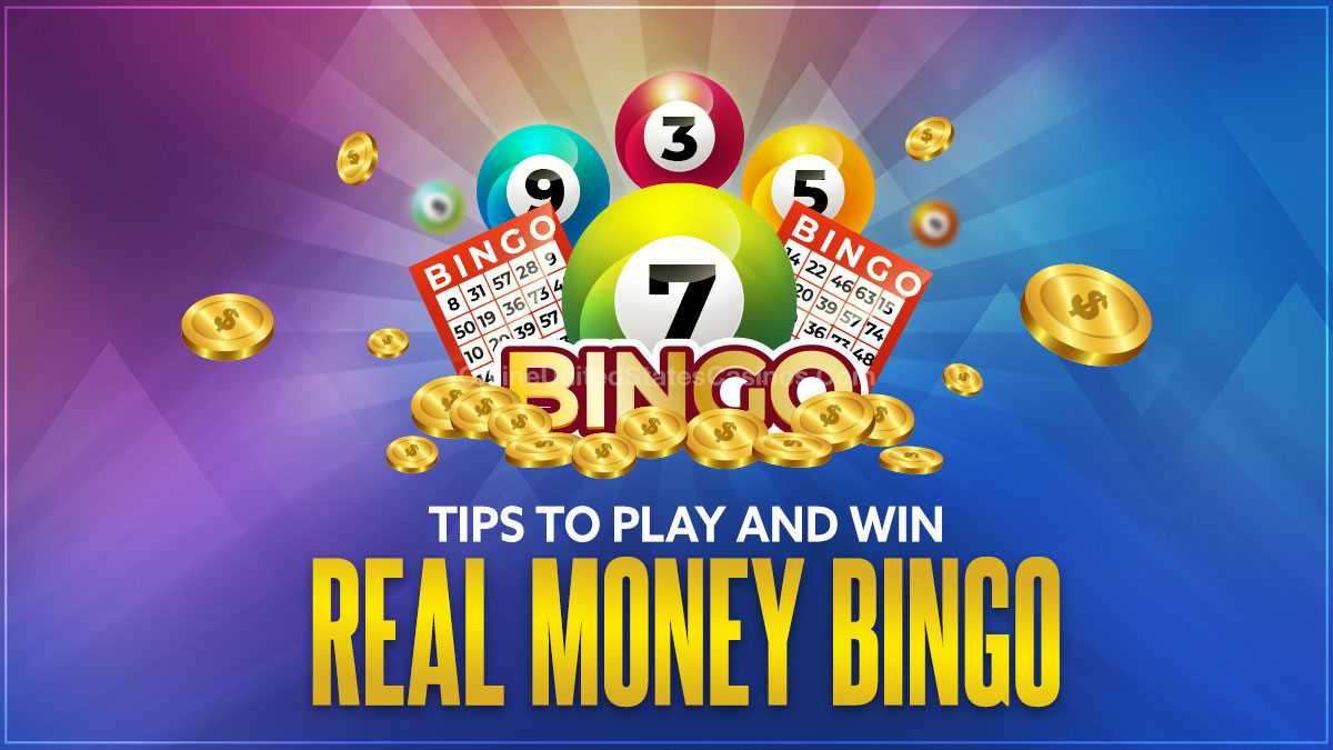 bingo tour real money