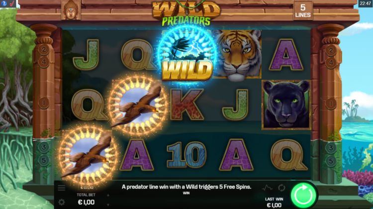 Wild Predators Slot Game Play