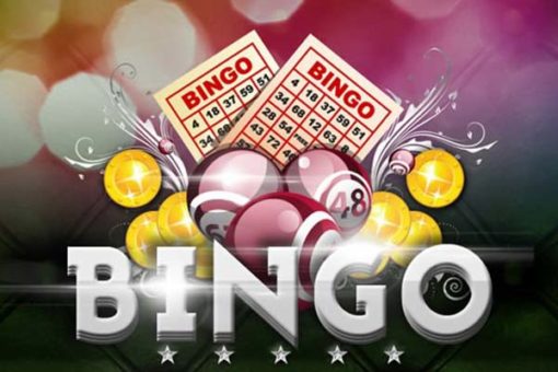 Best Bingo Software Providers UK