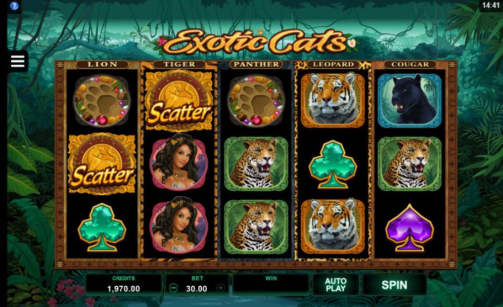 Exotic Cats Slots Game