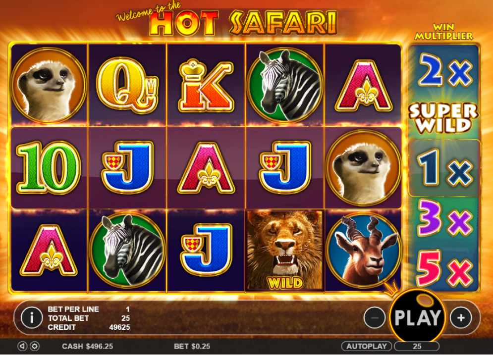 Hot Safari Slot Gameplay