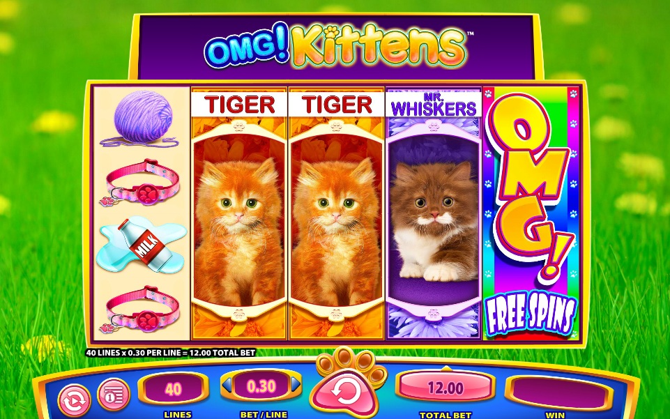 OMG Kittens Slot Online