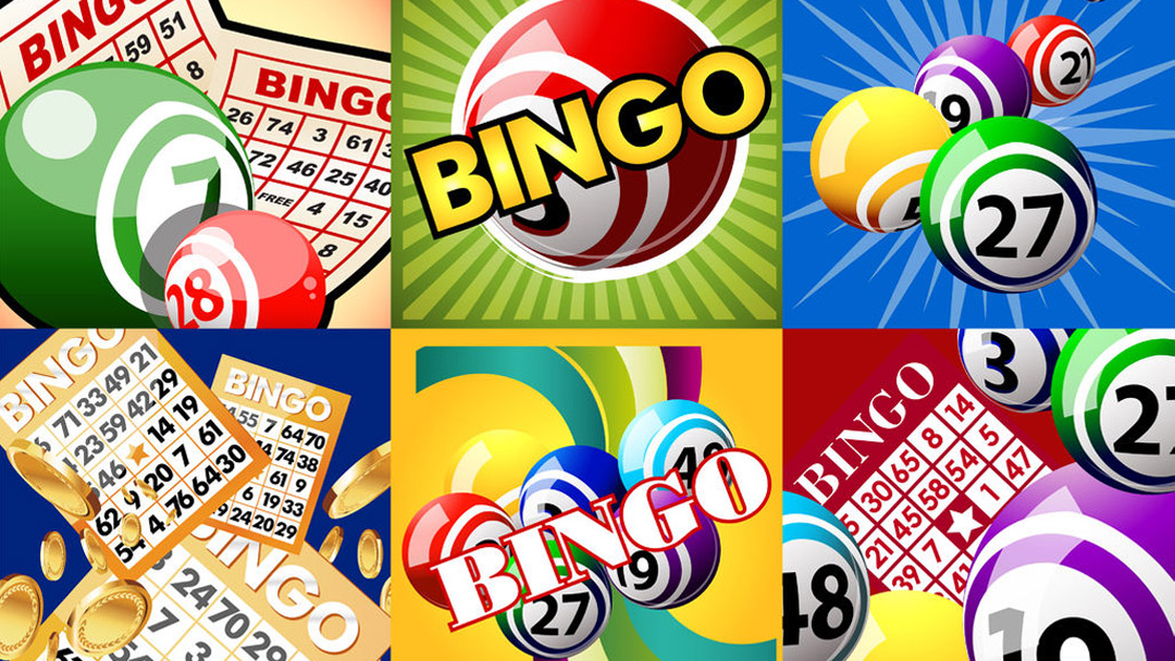 Bingo Language Image