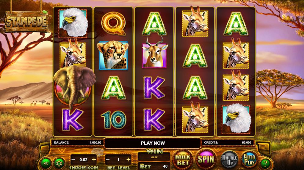 Stampede Jackpot Slot