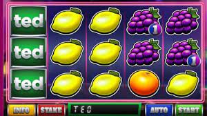 Ted Pub Fruit Series Slot Gameplay