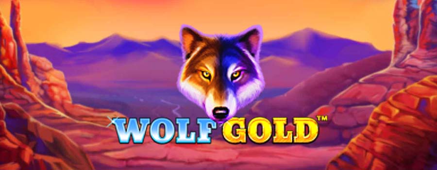 Wolf Gold Umbingo